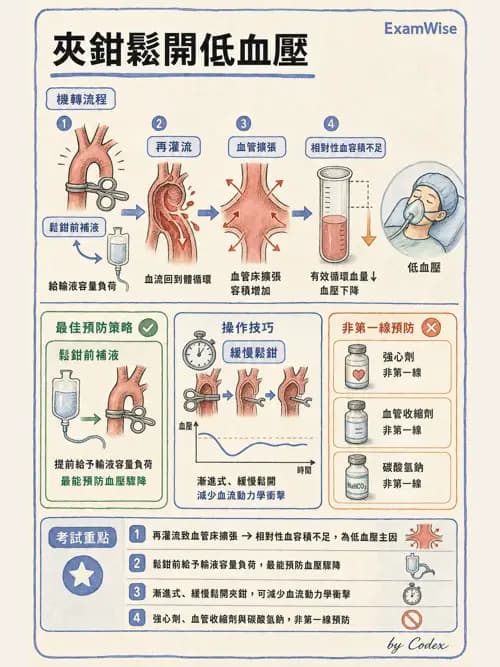 麻醉專護 - 心臟手術與體外循環麻醉 - AI 圖文解析預覽
