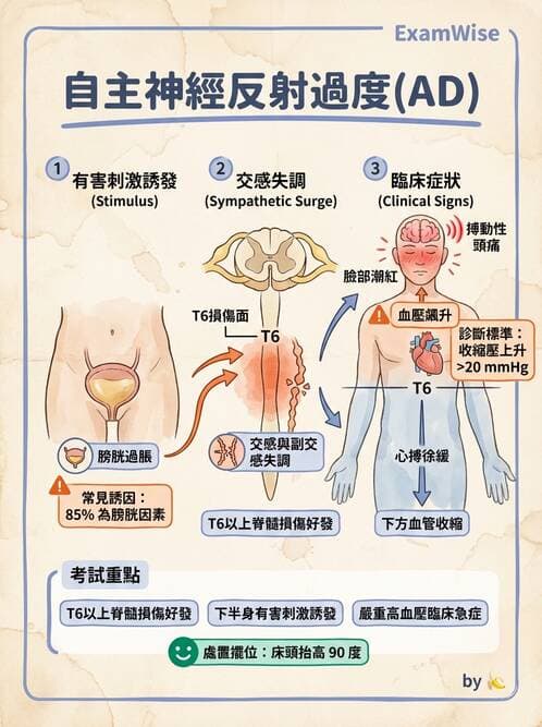 護理師 - 脊髓損傷與神經肌肉疾病 - AI 圖文解析預覽