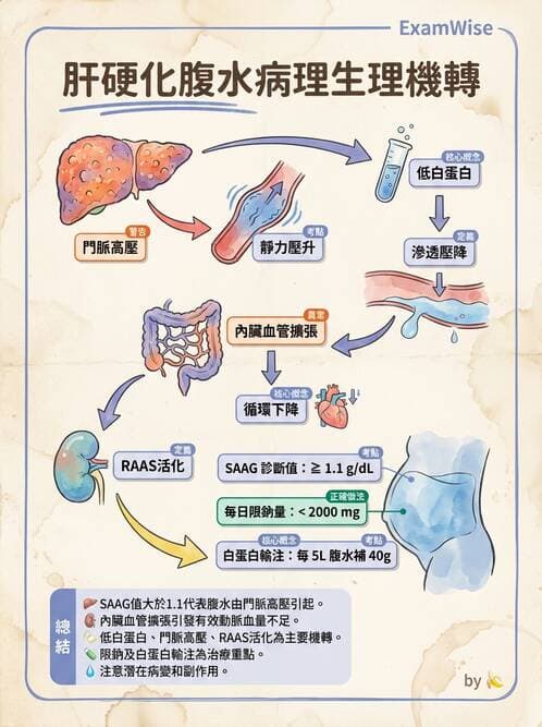 護理師 - 肝膽胰疾病 - AI 圖文解析預覽