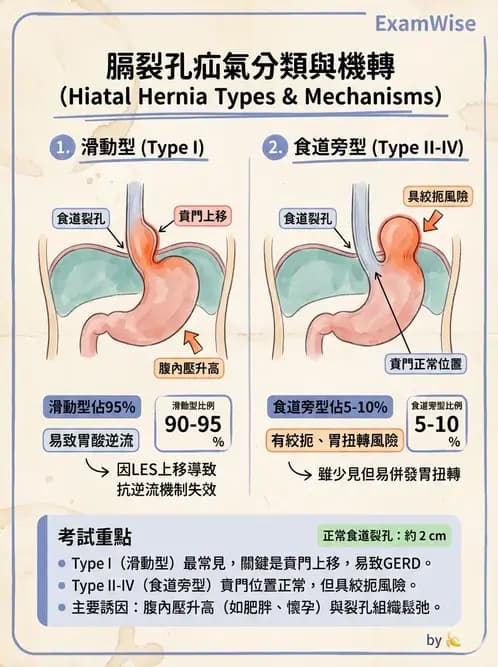 護理師 - 上消化道疾病 - AI 圖文解析預覽