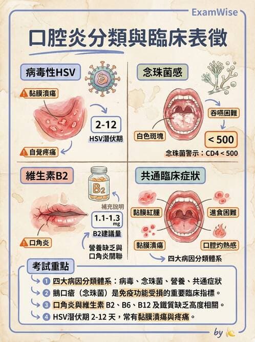 護理師 - 上消化道疾病 - AI 圖文解析預覽