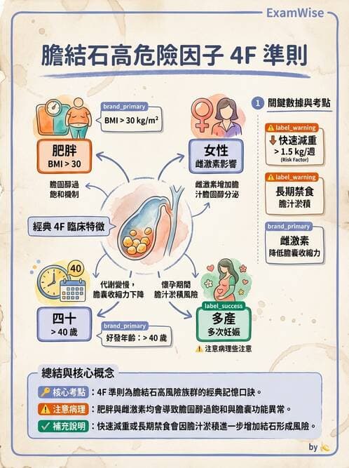 護理師 - 肝膽胰疾病 - AI 圖文解析預覽