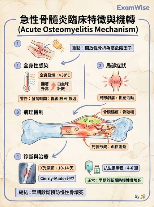 護理師 - 骨折與牽引護理 - AI 圖文解析預覽