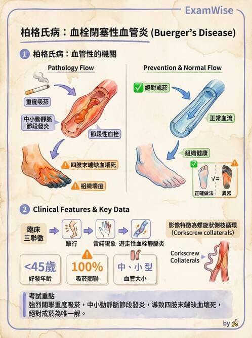 護理師 - 高血壓與周邊血管疾病 - AI 圖文解析預覽