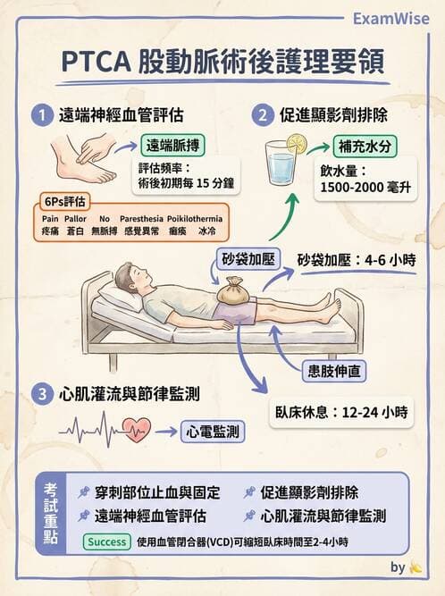 護理師 - 冠狀動脈疾病與心肌梗塞 - AI 圖文解析預覽