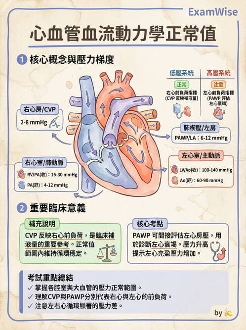 護理師 - 心臟衰竭與心律不整 - AI 圖文解析預覽