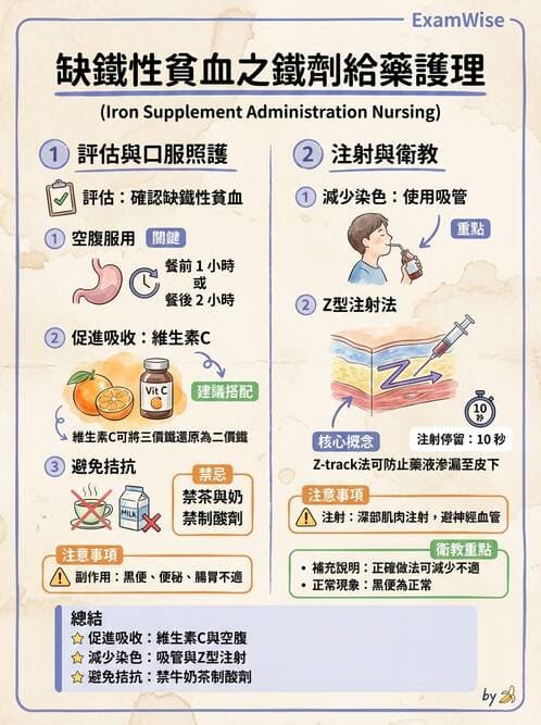 護理師 - 貧血與凝血疾病 - AI 圖文解析預覽