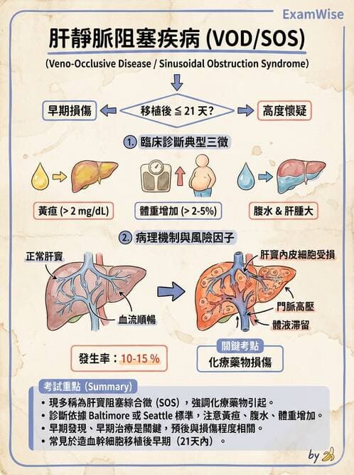 護理師 - 血液腫瘤疾病 - AI 圖文解析預覽