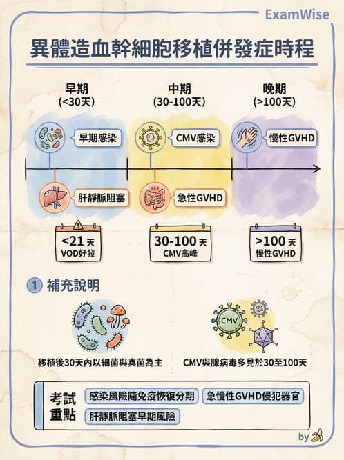 護理師 - 血液腫瘤疾病 - AI 圖文解析預覽