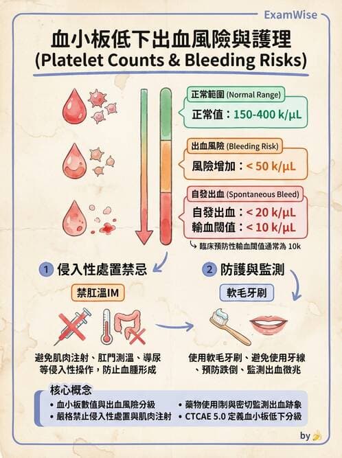 護理師 - 化療護理 - AI 圖文解析預覽