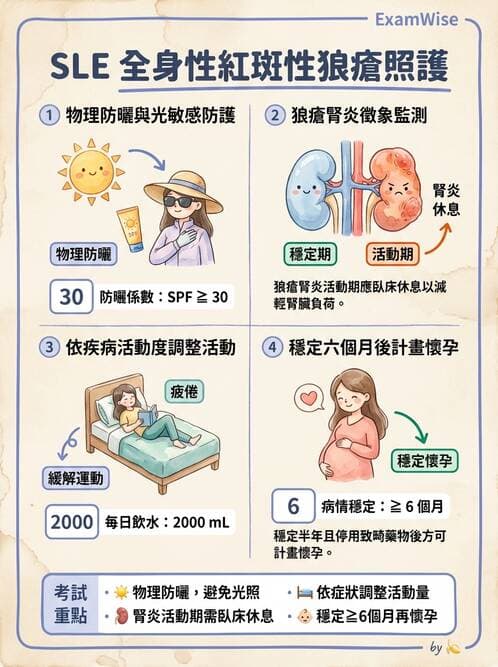 護理師 - 自體免疫疾病與過敏反應 - AI 圖文解析預覽