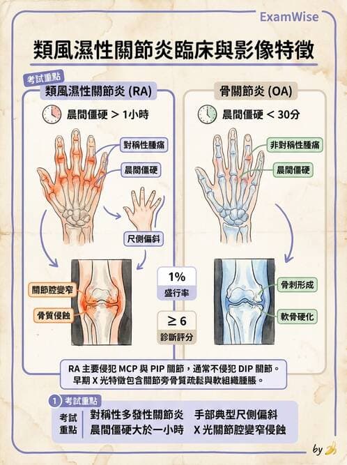 護理師 - 自體免疫疾病與過敏反應 - AI 圖文解析預覽