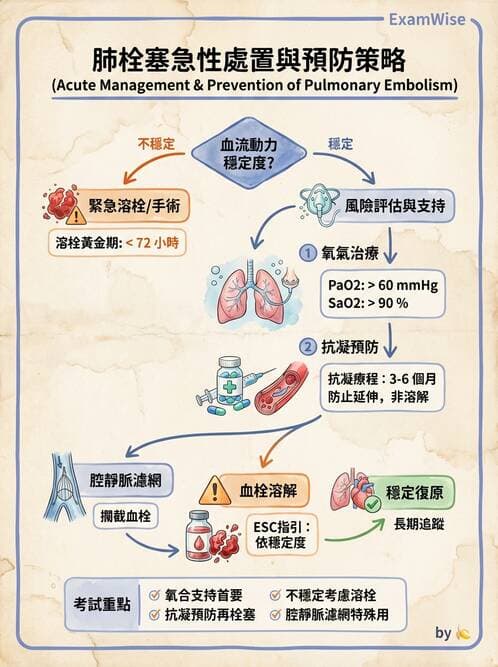 護理師 - 呼吸衰竭與胸腔護理 - AI 圖文解析預覽