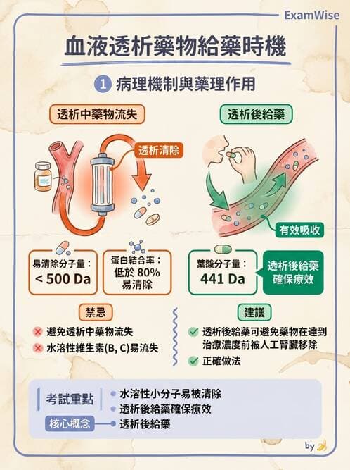 護理師 - 透析、電解質與酸鹼平衡 - AI 圖文解析預覽