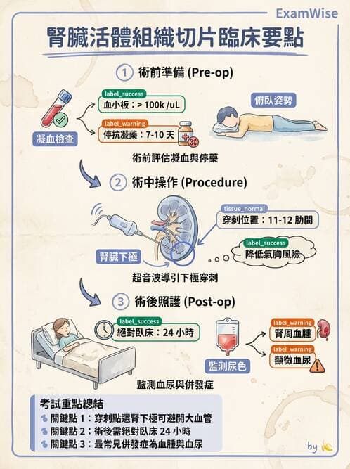 護理師 - 腎炎、腎衰竭與慢性腎臟病 - AI 圖文解析預覽