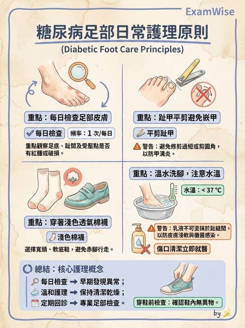 護理師 - 糖尿病併發症護理 - AI 圖文解析預覽