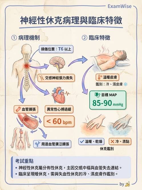 護理師 - 休克與敗血症護理 - AI 圖文解析預覽
