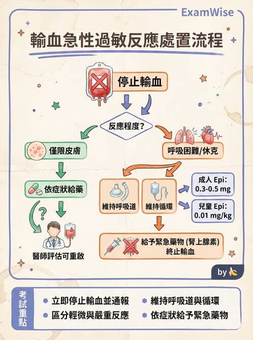 護理師 - 貧血與凝血疾病 - AI 圖文解析預覽