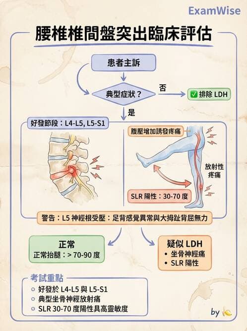 護理師 - 脊髓損傷與神經肌肉疾病 - AI 圖文解析預覽