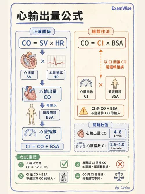 呼吸治療師 - 心臟生理與血液動力學 - AI 圖文解析預覽