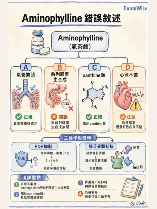 呼吸治療師 - 呼吸系統藥物 - AI 圖文解析預覽