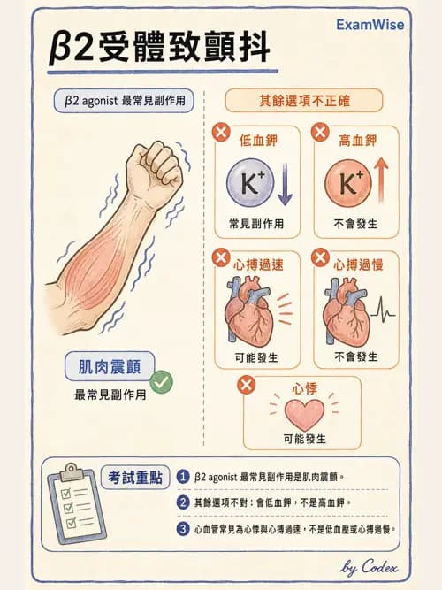 呼吸治療師 - 呼吸系統藥物 - AI 圖文解析預覽