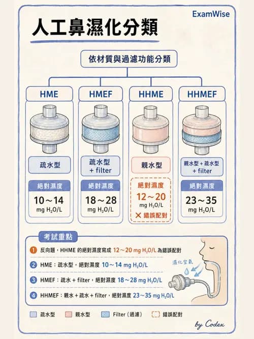 呼吸治療師 - 濕氣與霧氣治療 - AI 圖文解析預覽