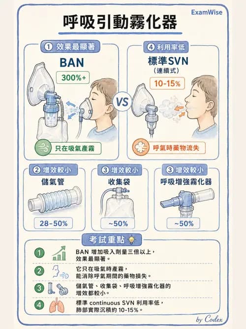 呼吸治療師 - 濕氣與霧氣治療 - AI 圖文解析預覽