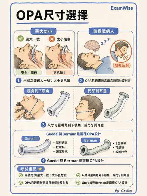 呼吸治療師 - 人工氣道處置 - AI 圖文解析預覽
