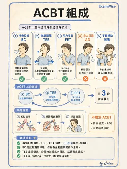呼吸治療師 - 痰液清除與擴張治療 - AI 圖文解析預覽