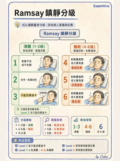 呼吸治療師 - 呼吸治療臨床作業與身體評估 - AI 圖文解析預覽