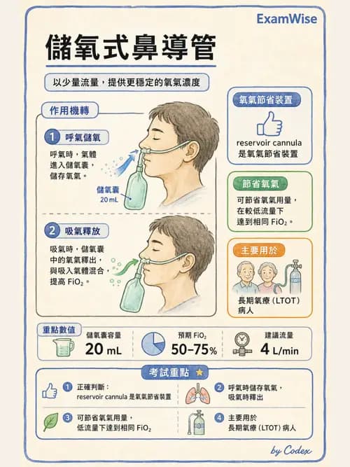 呼吸治療師 - 氣體輸送系統與氧氣治療 - AI 圖文解析預覽