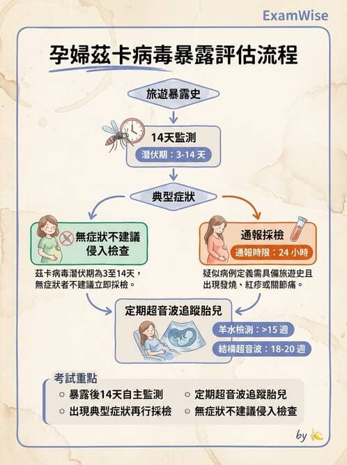 護理師 - 高危險妊娠 - AI 圖文解析預覽