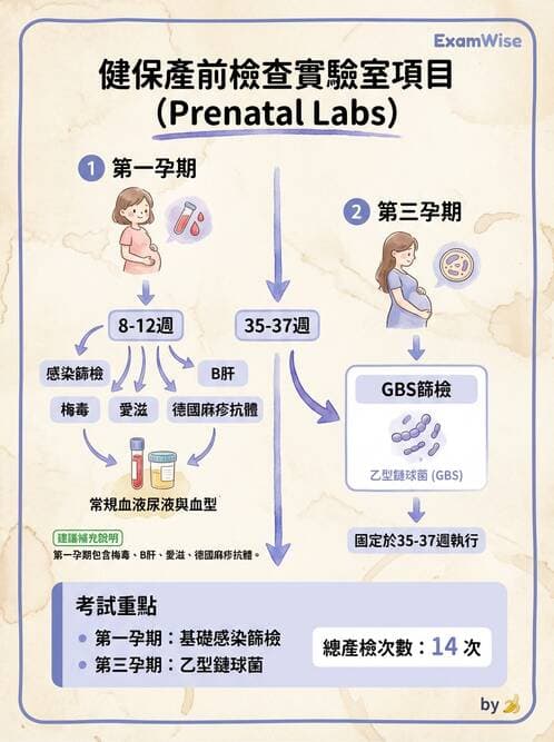 護理師 - 產前篩檢與遺傳診斷 - AI 圖文解析預覽