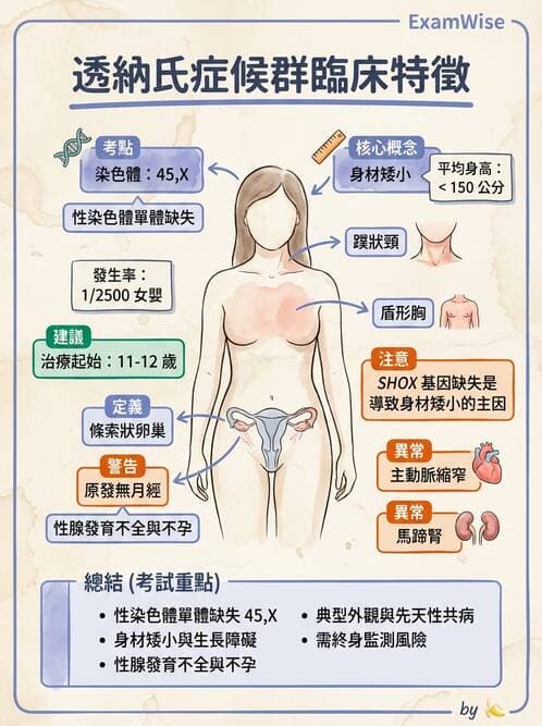 護理師 - 不孕症月經與更年期 - AI 圖文解析預覽