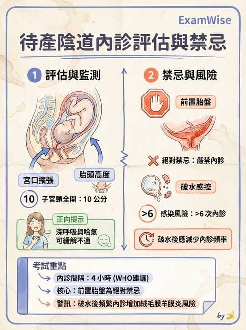 護理師 - 產程機轉與待產護理 - AI 圖文解析預覽