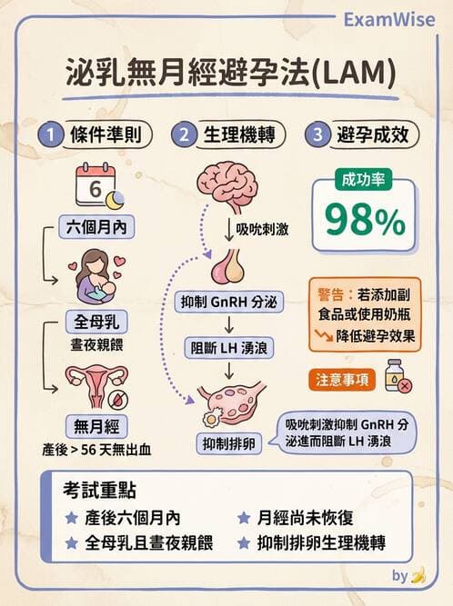 護理師 - 產後心理併發症與家庭計畫 - AI 圖文解析預覽