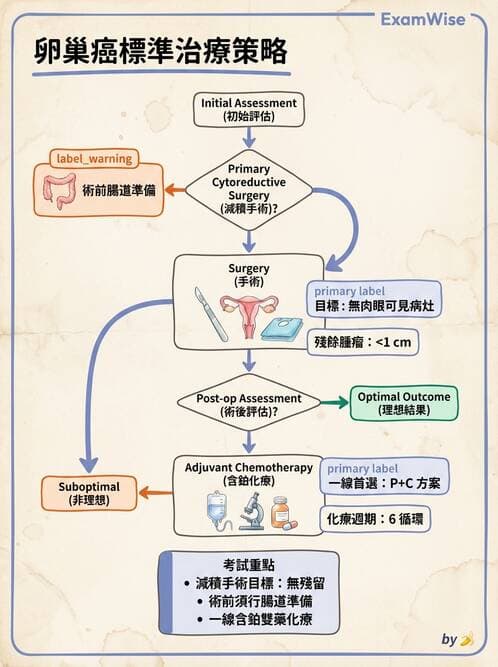 護理師 - 婦科腫瘤與感染 - AI 圖文解析預覽