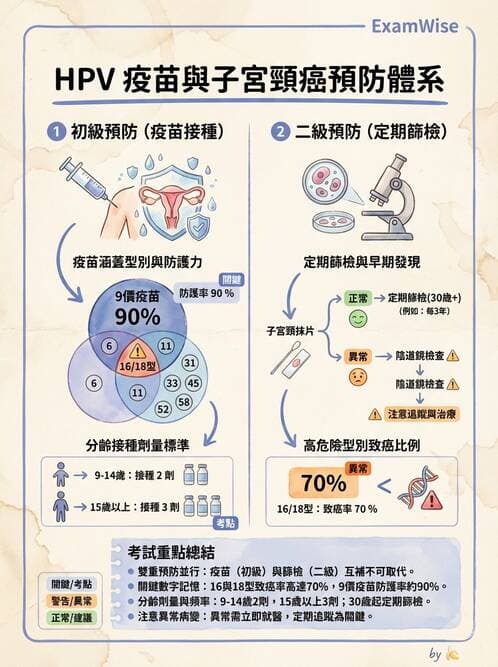 護理師 - 婦科腫瘤與感染 - AI 圖文解析預覽