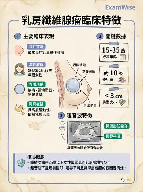護理師 - 婦科腫瘤與感染 - AI 圖文解析預覽
