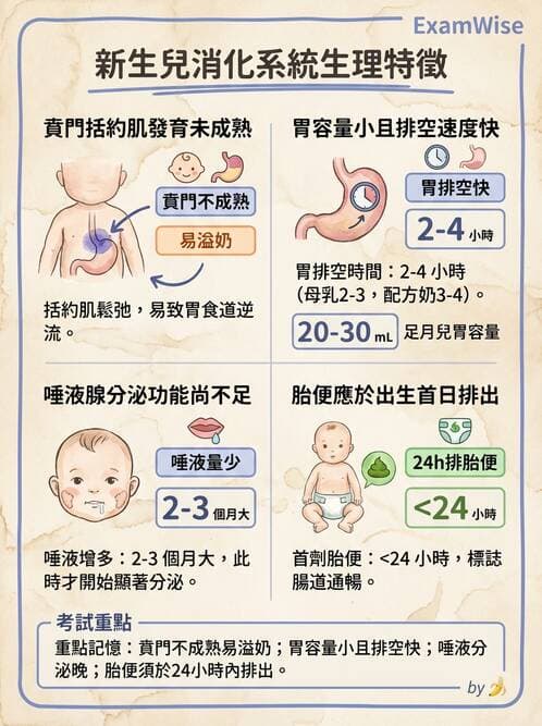 護理師 - 新生兒日常照護與篩檢 - AI 圖文解析預覽