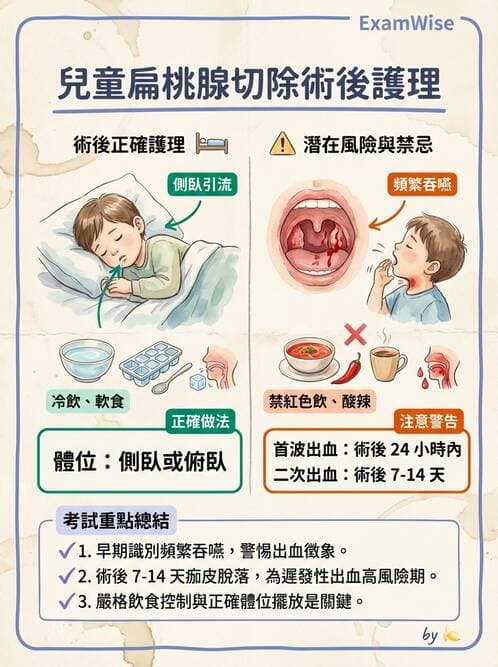 護理師 - 兒童呼吸系統疾病 - AI 圖文解析預覽