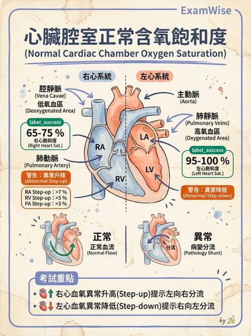護理師 - 兒童循環系統疾病 - AI 圖文解析預覽