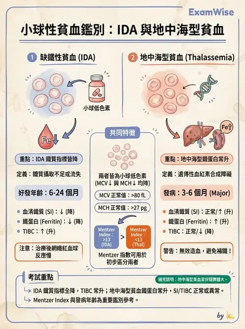 護理師 - 兒童血液與腫瘤疾病 - AI 圖文解析預覽