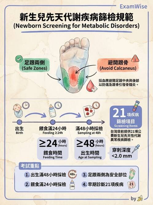 護理師 - 新生兒日常照護與篩檢 - AI 圖文解析預覽