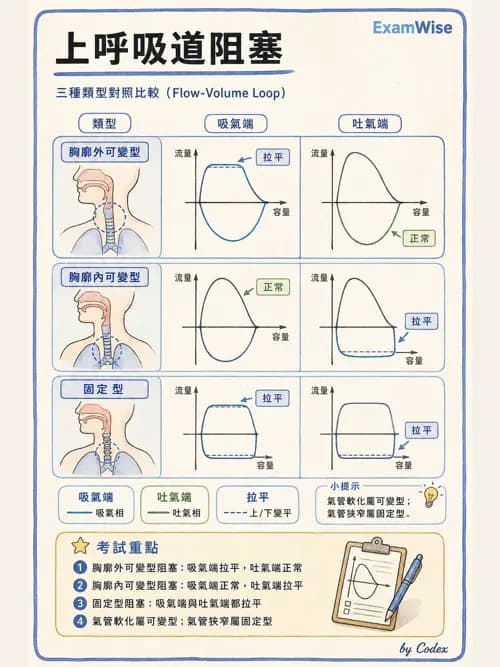 呼吸治療師 - 呼吸機械力學監測 - AI 圖文解析預覽