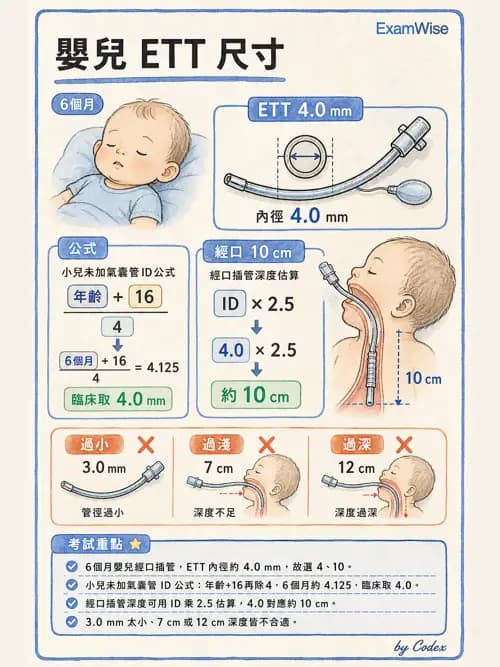 呼吸治療師 - 呼吸道照護與抽痰設備 - AI 圖文解析預覽