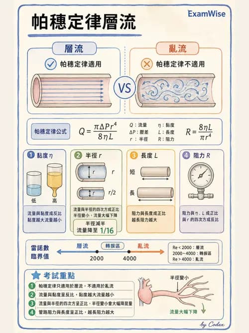 呼吸治療師 - 氣體物理學 - AI 圖文解析預覽