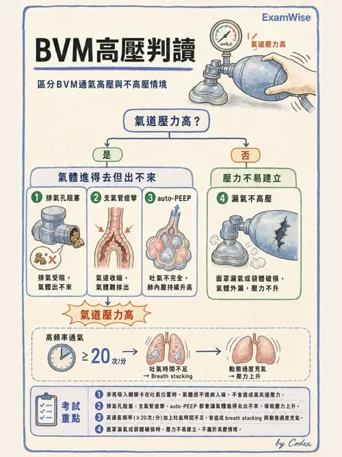 呼吸治療師 - 甦醒器設備 - AI 圖文解析預覽
