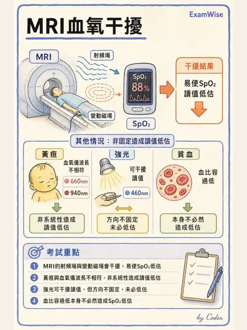 呼吸治療師 - 非侵入性呼吸監測設備 - AI 圖文解析預覽